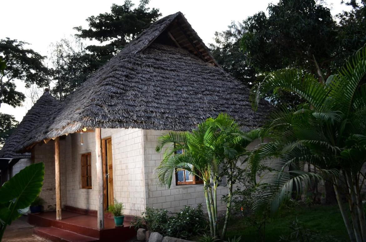 Charming Eco-Homestay Near Kilimanjaro International Airport Arusha Bagian luar foto