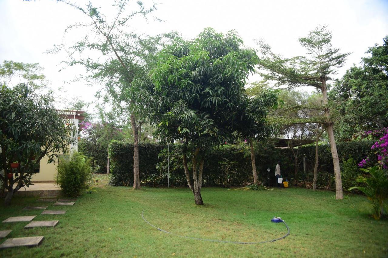 Charming Eco-Homestay Near Kilimanjaro International Airport Arusha Bagian luar foto